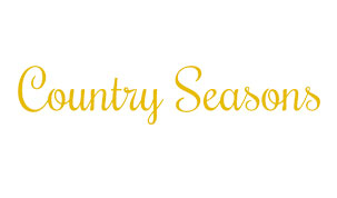Country Seasons in Larned Nominated for wKREDA’s Retail Business of the Year Award main photo