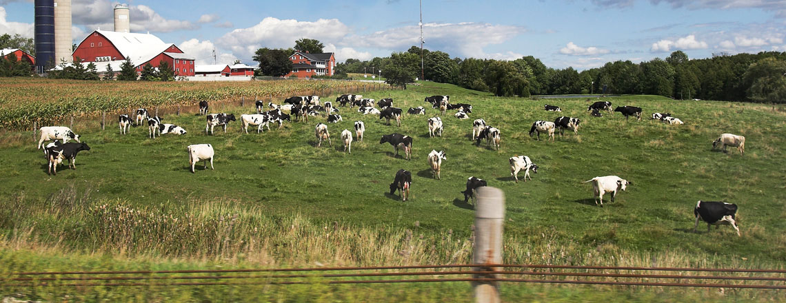 Dairy is a fast-growing industry in Kansas Photo